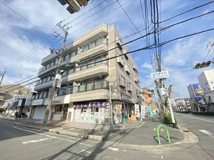 ハイネスト玉櫛の画像