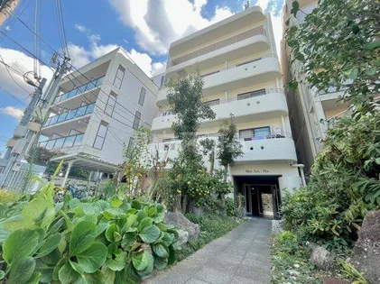 カルム白島の画像