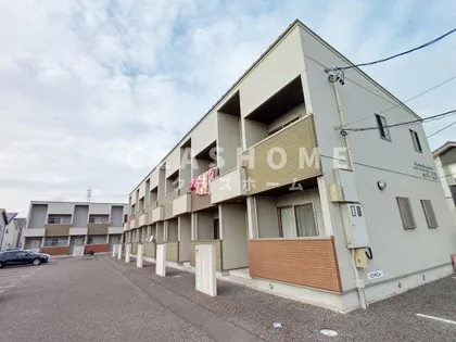 ハミングバードヒロの画像