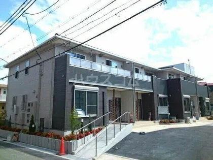 ベルグ しらゆりの画像