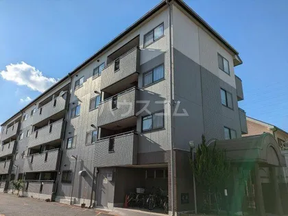 ロジメントコバの画像