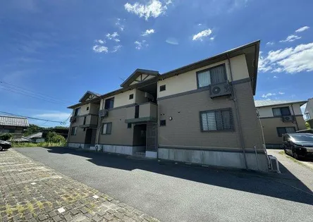 エバーグリーンA Bの画像