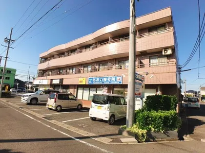グレースナガナワの画像