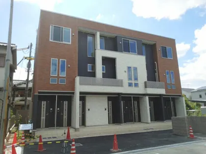 カメリア サザンカの画像