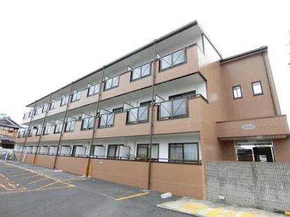 ルーチェの画像