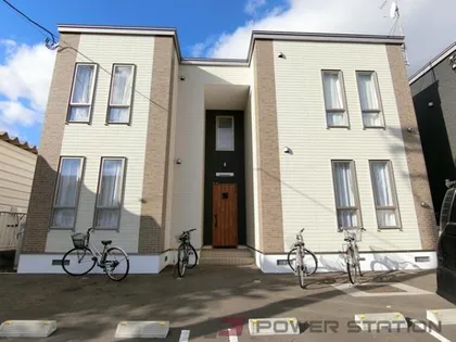 アビシニアンの画像