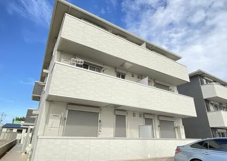 メイプルの画像