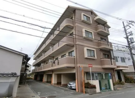 ハイツションブリアンの画像