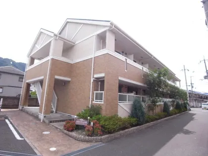 サンフォルムIIIの画像