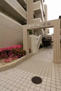 セザール姪浜の画像