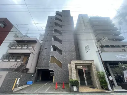 Y'S IZUMIの画像