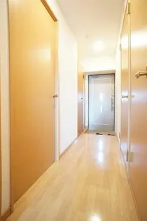 ヴィーブルの画像