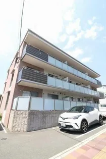 プルヌス コリーヌの画像