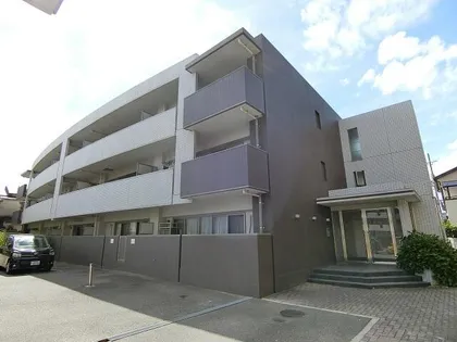 グランデ紫陽花の画像