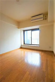 ダイナコートエスタディオレシェンテの画像