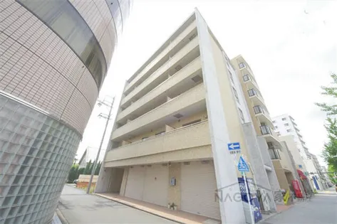 ティーブロッサムの画像