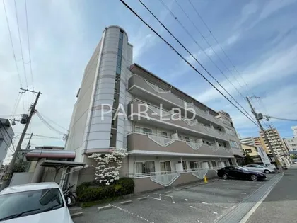 ピュア エレガンスの画像