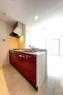 プルメリアの画像