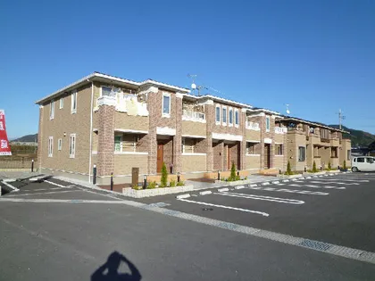 シンビジュウムの画像