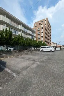 白水ビル【203号室】のその他画像