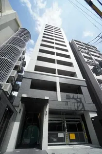 アルファシオミラーニの画像