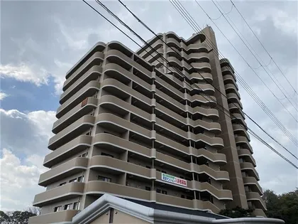 手柄アートスカイハイツ【9階】の外観