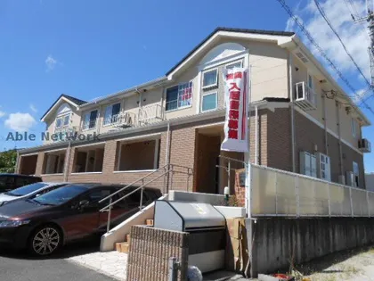 クリプトメリア アヴェニューの画像