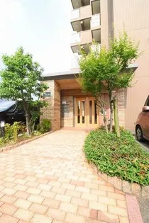 サーフウェーブの画像