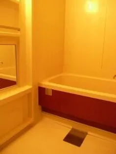 ピナクル高砂【202号室】のその他画像