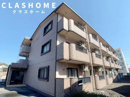 シーガルの画像