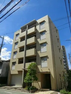 スプルース ネストの画像