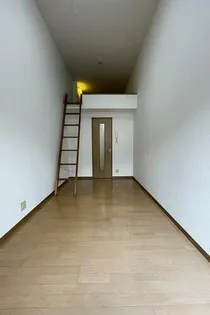 コスモツィンズの画像