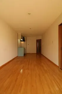 マリーゴールドの画像