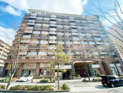 ロイヤルパークス桃坂【9階】の外観