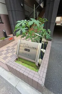 ピュアドームエスパルシア博多の画像