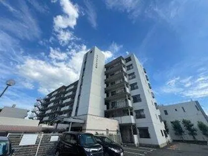 エクセル上小阪の画像