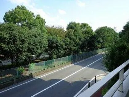 ディーフラット大濠【202号室】のその他画像