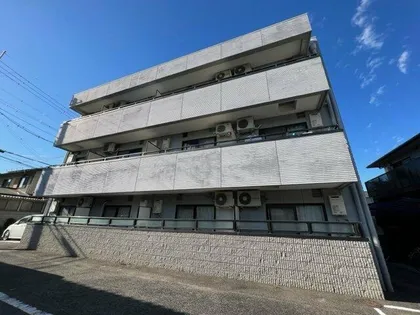 グレース和泉の画像