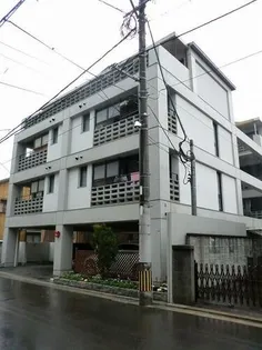 エオリアーナの画像