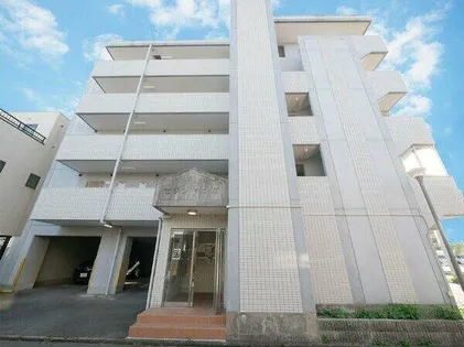 セゾンマツバの画像