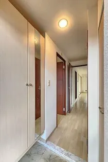 ピュア中通りの画像