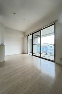 ラミナスコートの画像