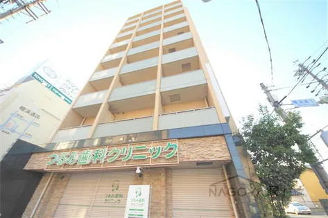 カーサステラの画像