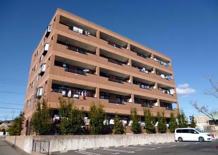 エルシャルマンの画像