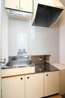 ユンゲルハイム輝国の画像