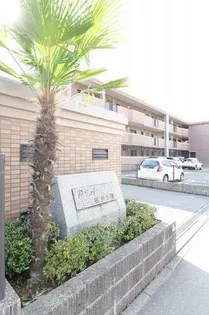 ピア観世S-N【S-202号室】のその他画像