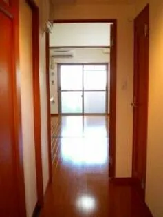 プラシード カーサの画像