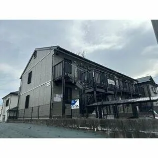 SPRUCEの画像