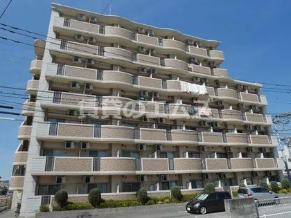 プラシード カーサの画像