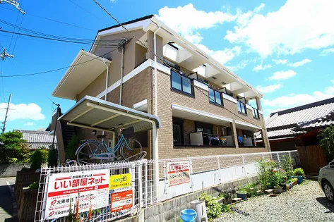 ひまわりの画像